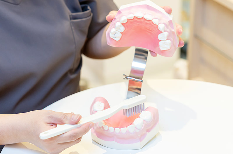 トレーニングと治療スタート